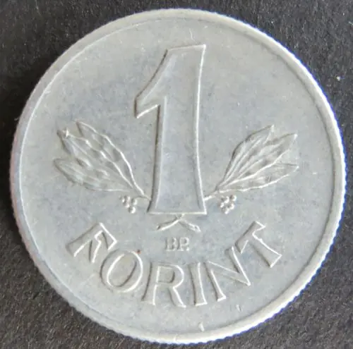 Top-Preis Münze Ungarn 1 Forint Schön 59 1906 s