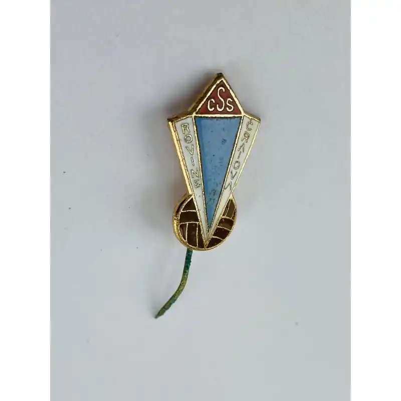 Ab Werk Pin CSS Rovine Craiova (ROM)