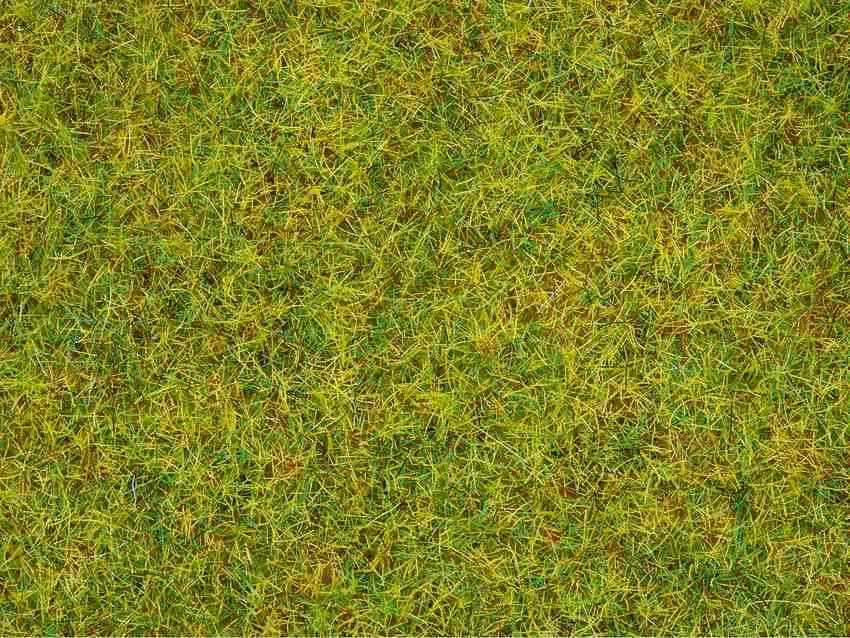 Noch 08151 Streugras Sommerwiese 2,5 mm Gratis Versand